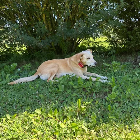 Dom Pod Aniolem Swietajno (Olecko)