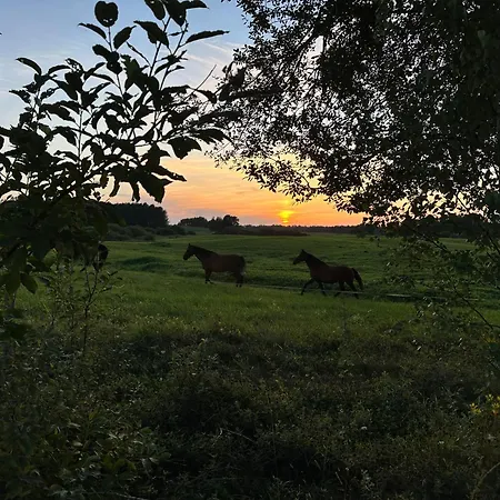 Dom Pod Aniolem Vakantiehuis Swietajno (Olecko)